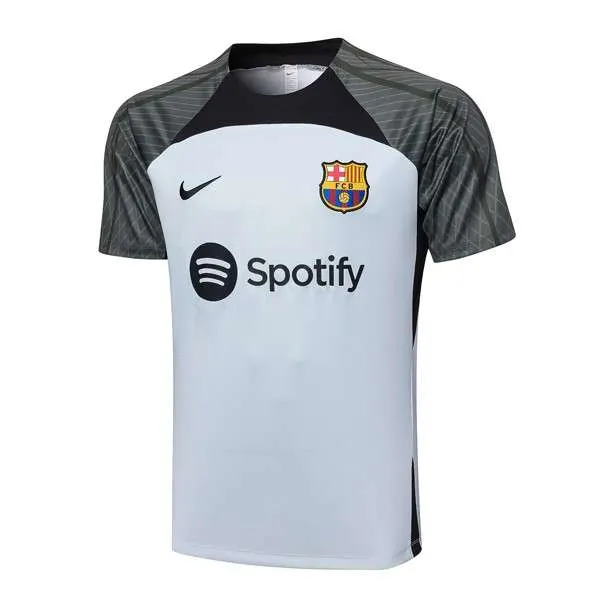 Camiseta Entrenamiento Barcelona 2024 Gris Tailandia Camiseta Entrenamiento FC Barcelona 2024 Gris