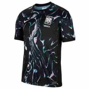 Tailandia Camiseta Segunda Corea Del Sur 2024