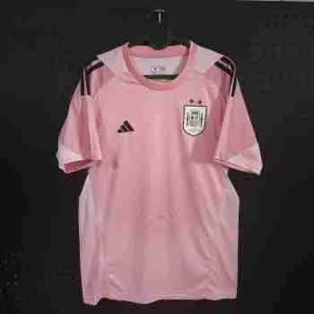Camiseta Portero Especial España 2026 2027 Rosa – Versión Hincha